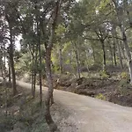 Ormanni Nel Chianti Classico