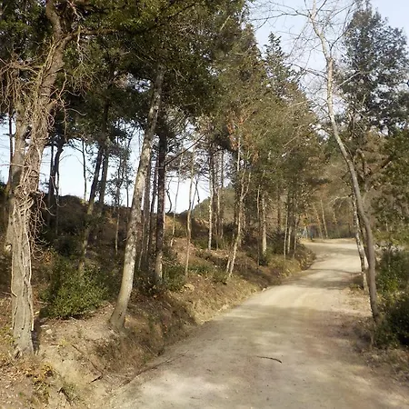 Ormanni Nel Chianti Classico Κατάλυμα σε φάρμα