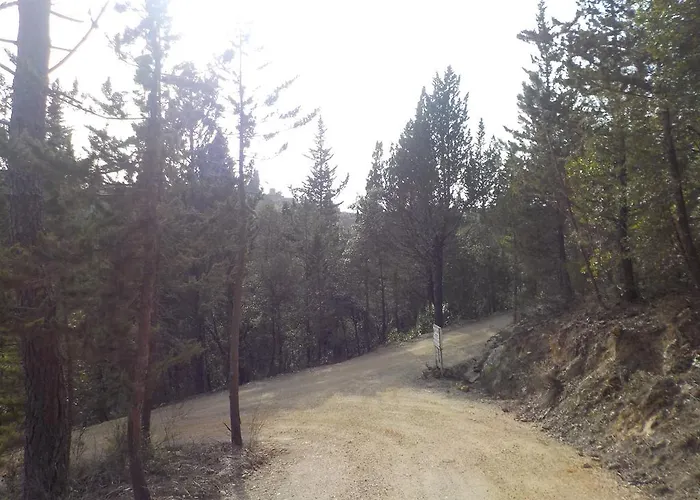 Ormanni Nel Chianti Classico Çiftlik konaklama