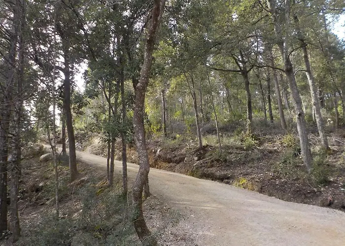 Ormanni Nel Chianti Classico