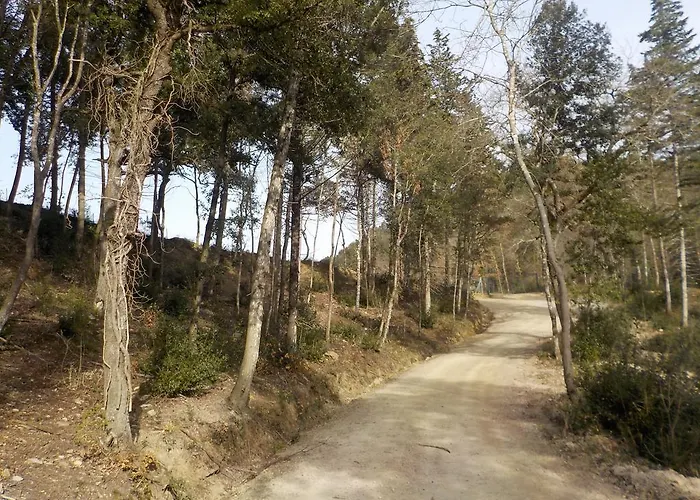 Ormanni Nel Chianti Classico Çiftlik konaklama