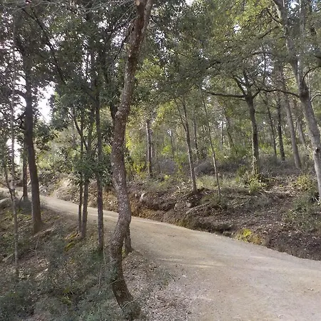Ormanni Nel Chianti Classico